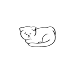怠惰な猫'トゥトゥ'（個別スタンプ：11）