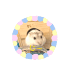 ハム＆ネコ（個別スタンプ：6）
