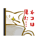 ネコチーノの白井さん。（個別スタンプ：11）