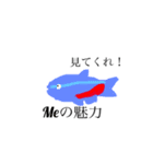観賞魚スタンプ（個別スタンプ：3）