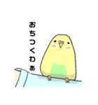 うちのインコ1（個別スタンプ：1）