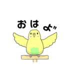 うちのインコ1（個別スタンプ：7）