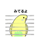 うちのインコ1（個別スタンプ：8）