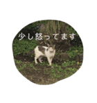 自然に生きる人のスタンプ（個別スタンプ：13）