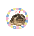 うさぎの源ちゃん（個別スタンプ：14）