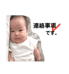 家族の日常会話(挨拶・一言)（個別スタンプ：21）