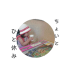 はーこの一日（個別スタンプ：14）