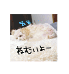 ふわたんLife♡（個別スタンプ：2）