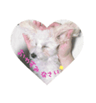 ふわたんLife♡（個別スタンプ：3）