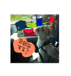 ふわたんLife♡（個別スタンプ：4）