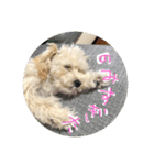 ふわたんLife♡（個別スタンプ：5）