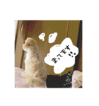 ふわたんLife♡（個別スタンプ：7）