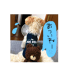ふわたんLife♡（個別スタンプ：12）