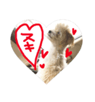 ふわたんLife♡（個別スタンプ：16）