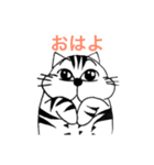 ツンデレ猫、どら弁護士（個別スタンプ：11）