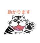 ツンデレ猫、どら弁護士（個別スタンプ：23）