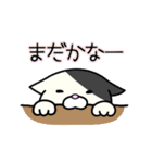 よぉ～し！今日もお仕事がんばるぞっ♪（個別スタンプ：17）