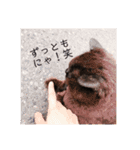 かわいいネコネコ（個別スタンプ：6）