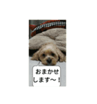 チロモコ2（個別スタンプ：4）