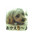 チロモコ2（個別スタンプ：8）