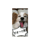 チロモコ2（個別スタンプ：13）
