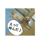 チロモコ2（個別スタンプ：14）