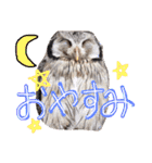 ポンの日常（個別スタンプ：10）