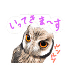 ポンの日常（個別スタンプ：14）