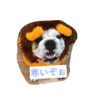 ブルはなの気持ち（個別スタンプ：7）