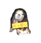 ブルはなの気持ち（個別スタンプ：8）