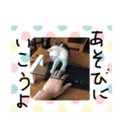 ぶち猫の花ちゃん（個別スタンプ：8）