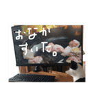 ぶち猫の花ちゃん（個別スタンプ：30）