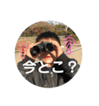 市井6兄妹❷（個別スタンプ：3）