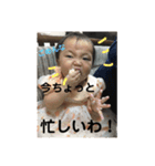 市井6兄妹❷（個別スタンプ：8）