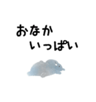 カバの河田さん（個別スタンプ：15）