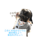 えるるん2（個別スタンプ：40）