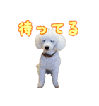 セイゴン（個別スタンプ：23）