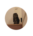 須汪くん（個別スタンプ：10）