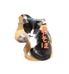 はちわれねこのきもち（個別スタンプ：4）