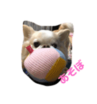 プルーデンスパート2（個別スタンプ：6）