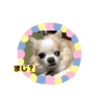 プルーデンスパート2（個別スタンプ：10）
