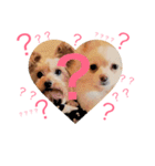 ぽるみる犬（個別スタンプ：1）