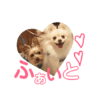 ぽるみる犬（個別スタンプ：7）