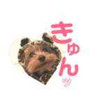 ぽるみる犬（個別スタンプ：9）