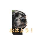 アマ（個別スタンプ：1）