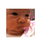 我が家のゆうちゃんスタンプ vol.1（個別スタンプ：5）