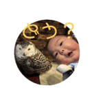 かめゆきちゃんすたんぷ（個別スタンプ：16）