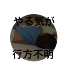 かめゆきちゃんすたんぷ（個別スタンプ：31）