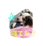 ユメの毎日（個別スタンプ：4）