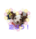 ユメの毎日（個別スタンプ：6）